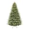 7.5ft. Pre-Lit Alaskan Winter Fir Artificial Christmas Tree, Dual-Color LED Lights